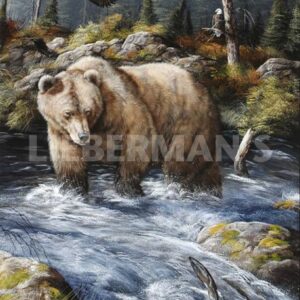 Busy Day at The Fishing Hole - Grizzly Bear and Bald Eagle - Art Prints