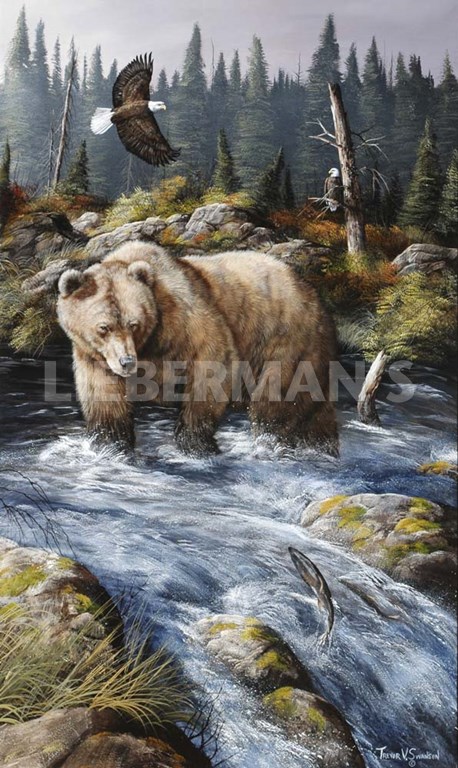 Busy Day at The Fishing Hole - Grizzly Bear and Bald Eagle - Art Prints