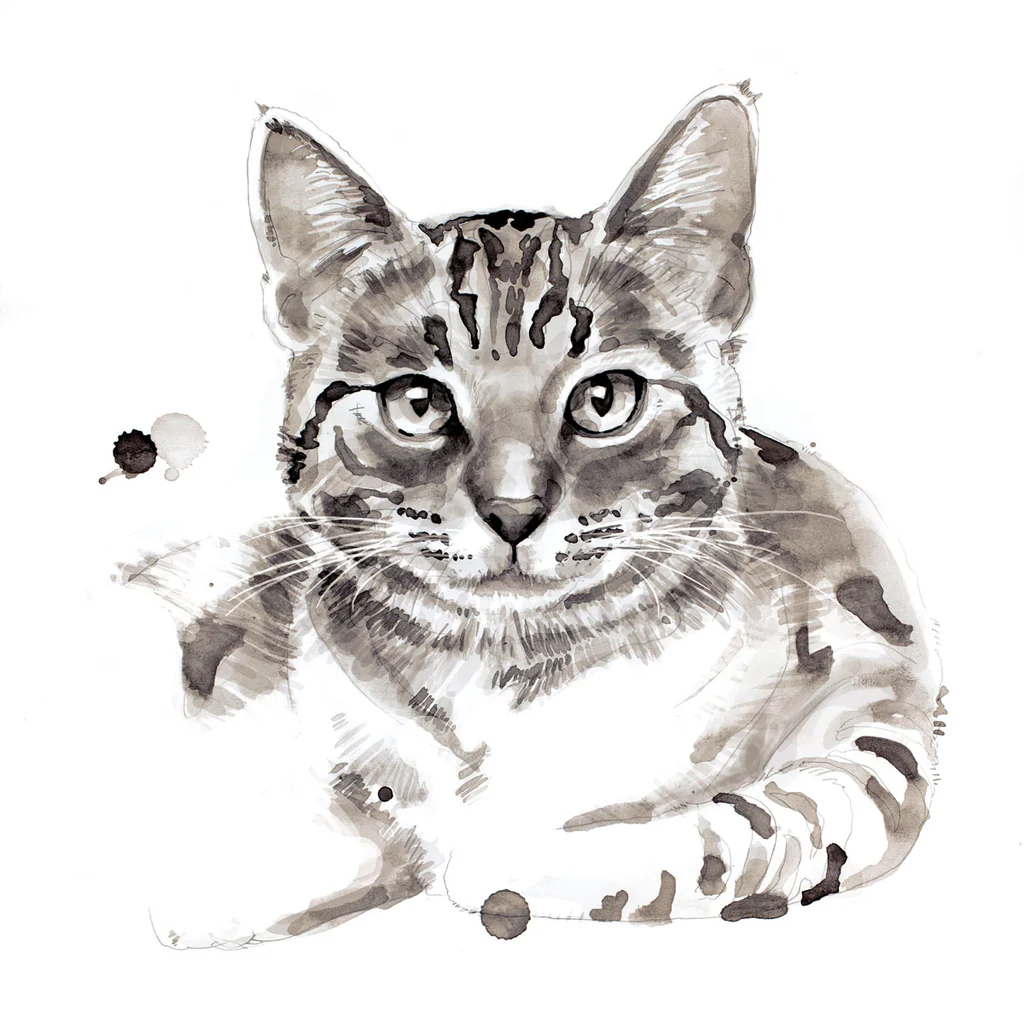 Cat - Giclée Paper