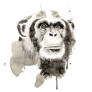 Chimp - Unstretched Canvas