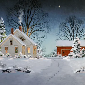 Christmas Star - Snowfall - Giclée Paper
