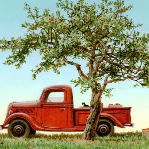 Cider Drops - Old Red Truck - Giclée Paper