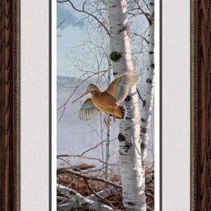 Climbing High - Woodcock - Limited Edition Paper