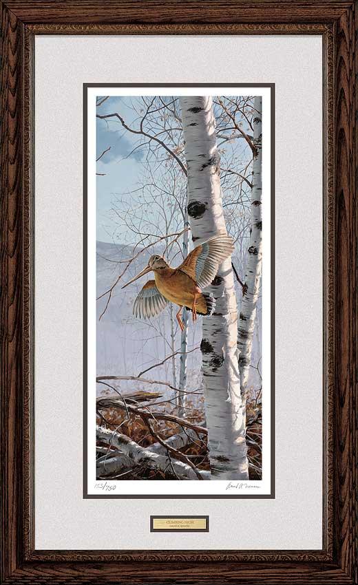 Climbing High - Woodcock - Limited Edition Paper