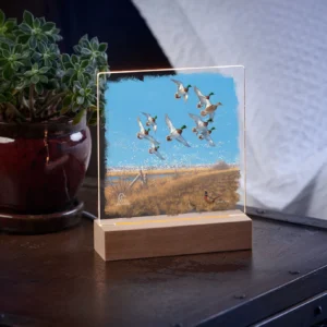 Courtship Flight Mallard 6.37" x 6" Acrylic Nightlight - Official Ducks Unlimited Art