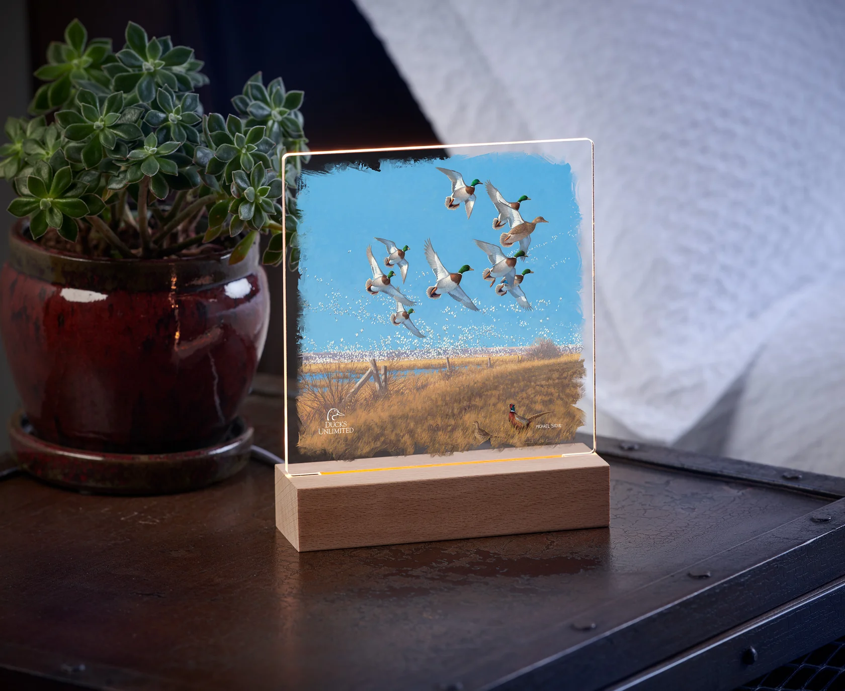 Courtship Flight Mallard 6.37" x 6" Acrylic Nightlight - Official Ducks Unlimited Art
