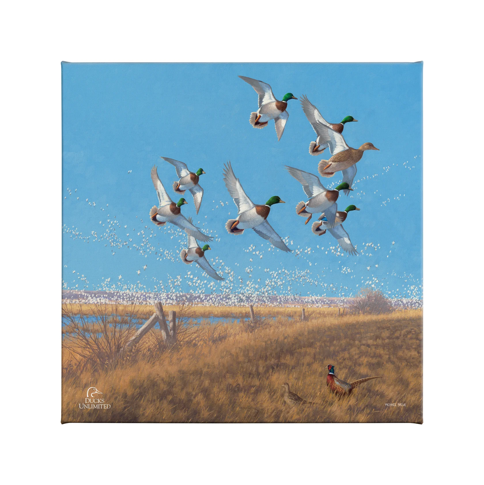 Courtship Flight - Mallard Gallery Wrapped Canvas - Official Ducks Unlimited Art