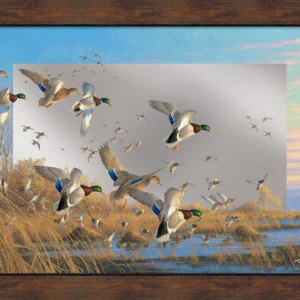 Courtship Flight - Mallard 16" x 24" Mirror Framed Barnwood - Official Ducks Unlimited Art
