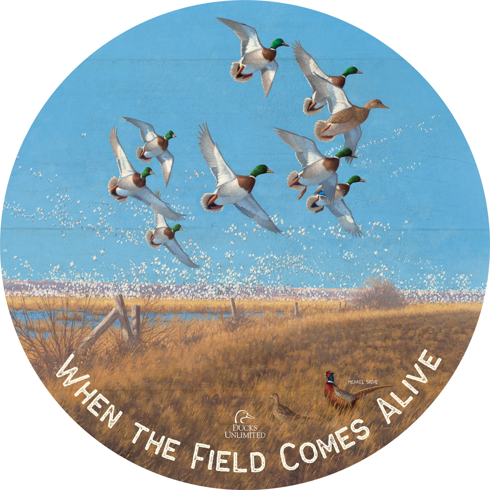 Courtship Flight Mallard "When the Field Comes Alive." 21" Round Wood Sign - Official Ducks Unlimited Art