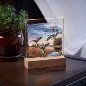 Daybreak Descent Canada Geese Night Light - Ducks Unlimited