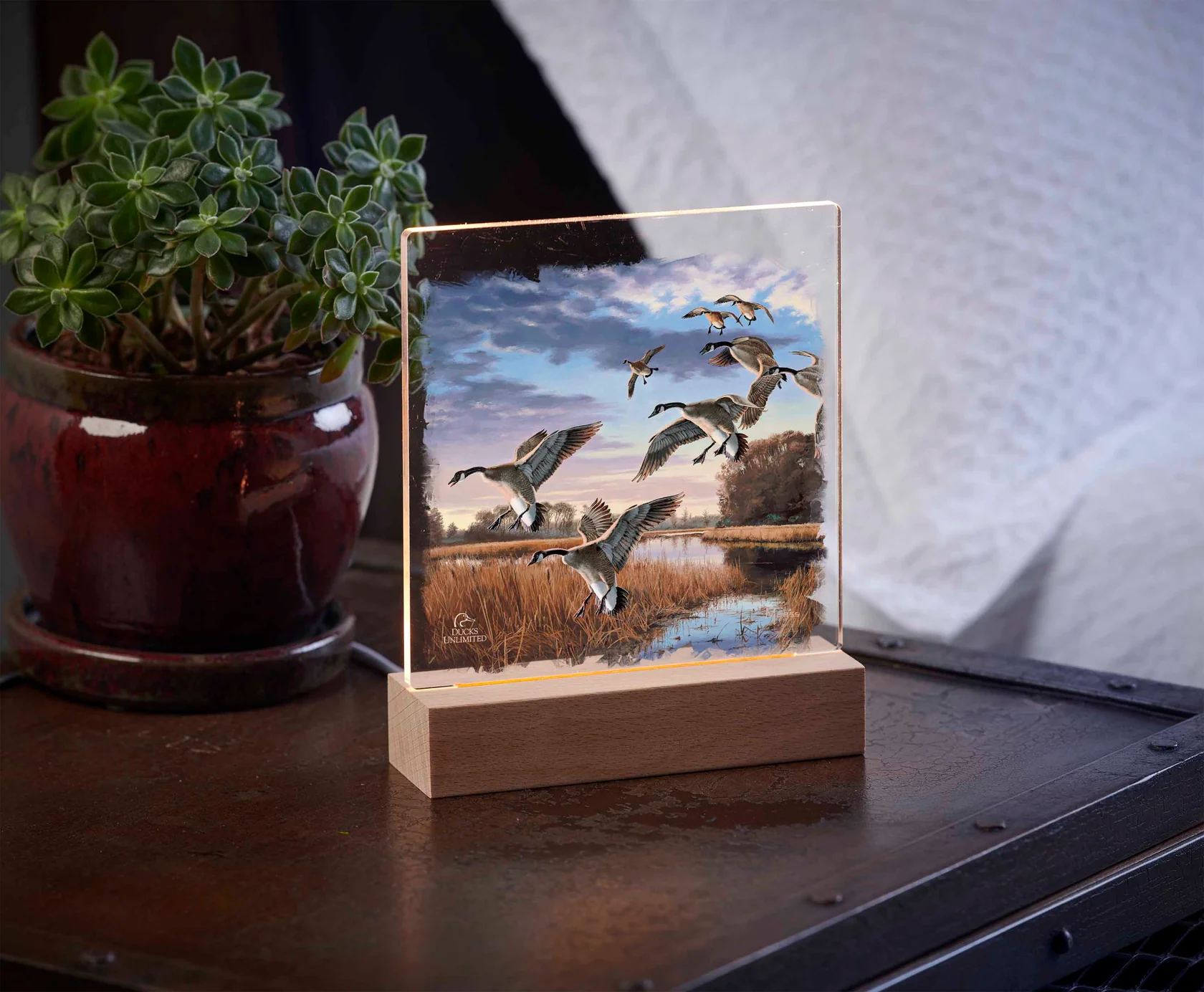 Daybreak Descent Canada Geese Night Light - Ducks Unlimited