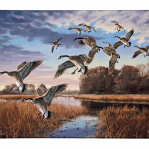 Daybreak Descent Canada Geese Gallery Wrapped Canvas - Official Ducks Unlimited Art