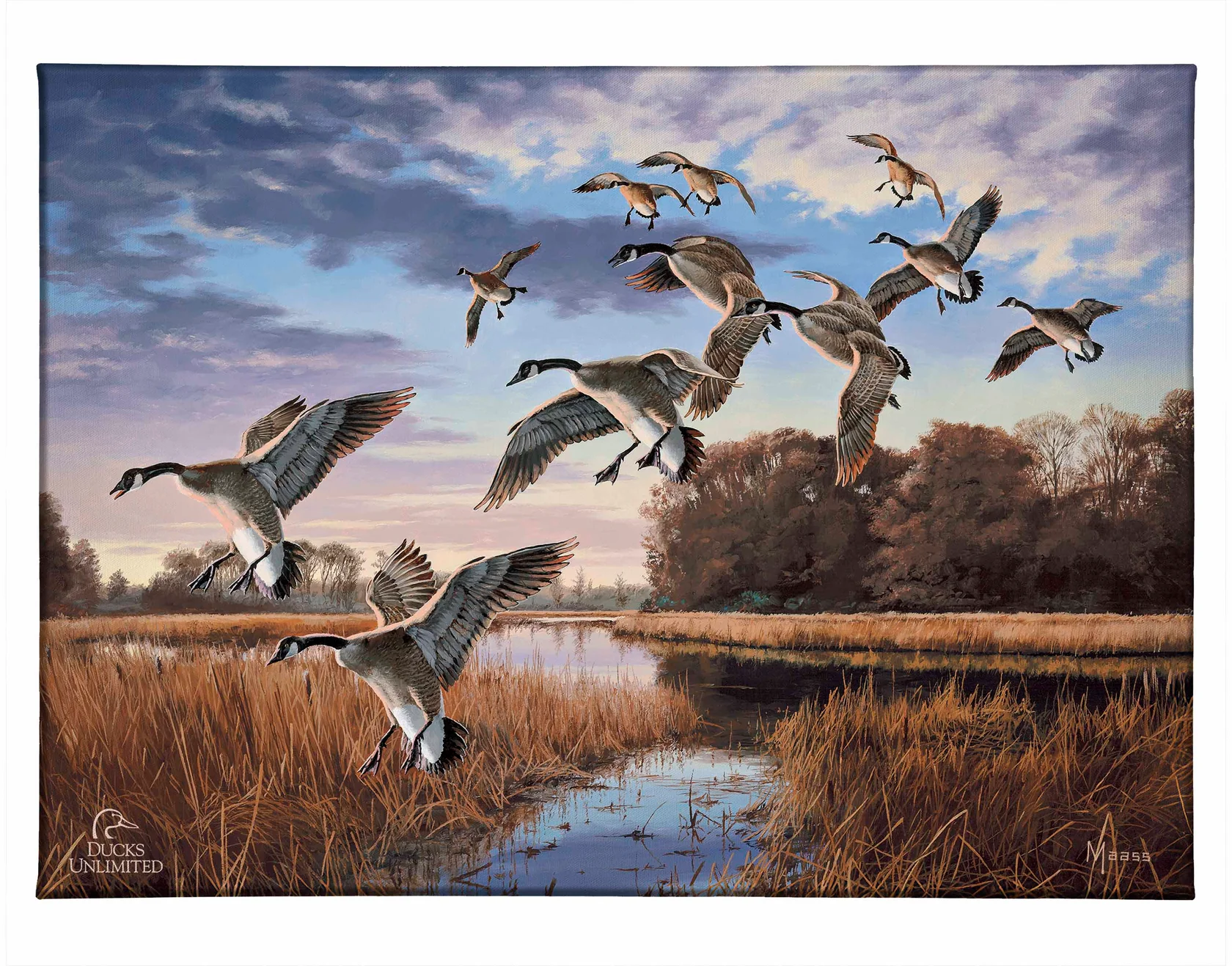 Daybreak Descent Canada Geese Gallery Wrapped Canvas – Official Ducks Unlimited Art