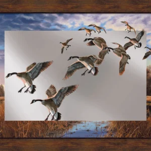 Daybreak Descent Canada Geese Mirror Framed Barnwood Wall Art - Official Ducks Unlimited