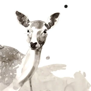 Deer - Unstretched Canvas