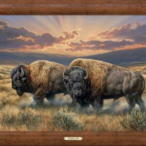 Dusty Plains - Bison - 30" x 40" Framed Gallery Canvas