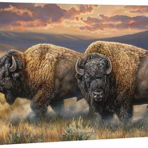 Dusty Plains - Bison - 18" x 36" Gallery Wrapped Canvas