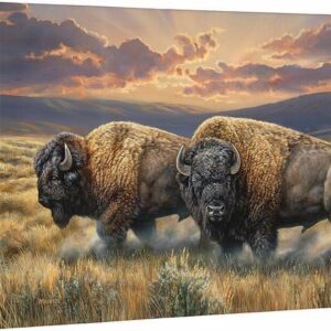 Dusty Plains - Bison - 13" x 18" Gallery Wrapped Canvas