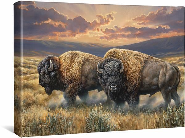Dusty Plains - Bison - 13" x 18" Gallery Wrapped Canvas