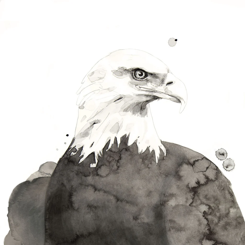 Eagle - Giclée Paper