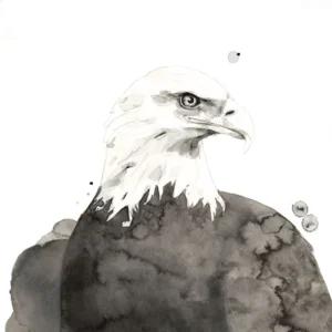 Eagle - Poster Paper