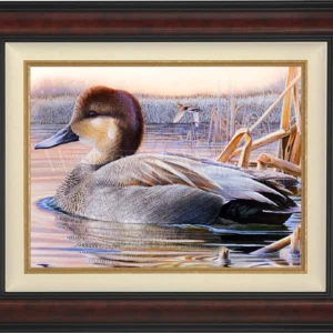 East of Eden - Grey Duck - Limited Edition Canvas