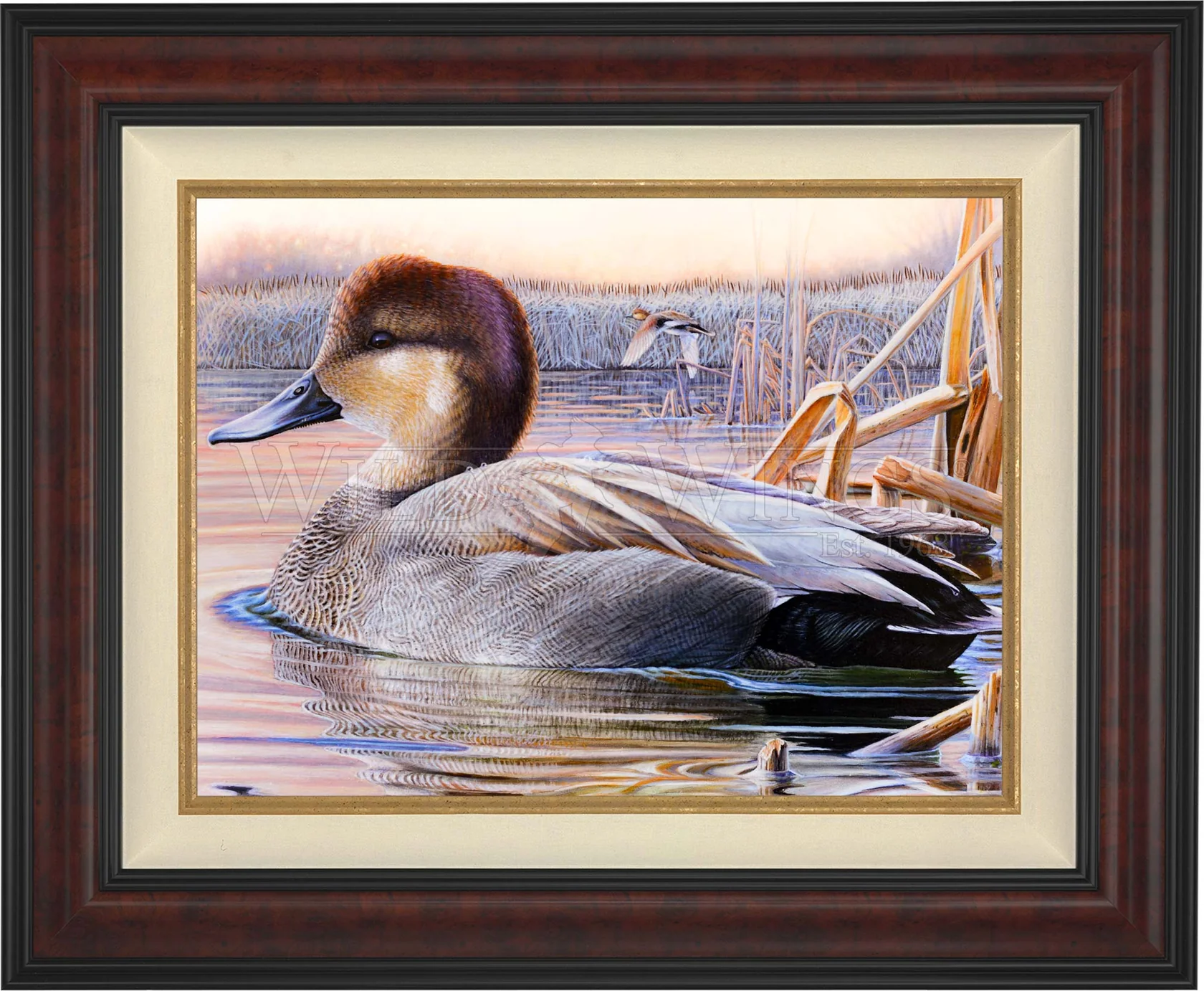 East of Eden - Grey Duck - Limited Edition Canvas
