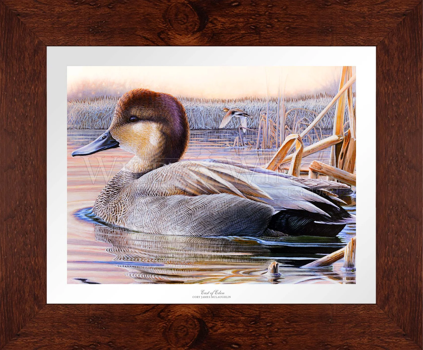 East of Eden - Grey Duck - Limited Edition Paper