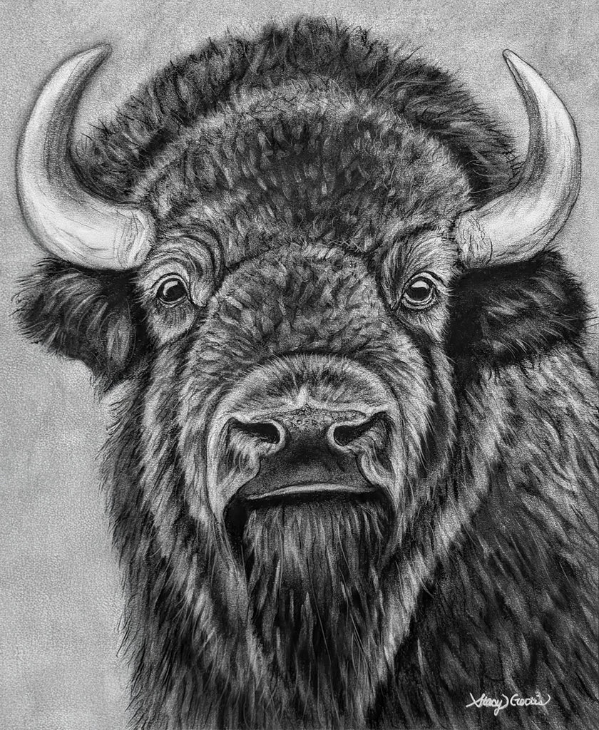 Ember of the Wild - Bison - Unstretched Canvas