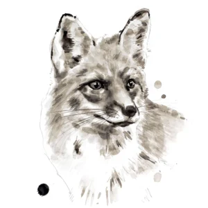 Fox - Giclée Paper