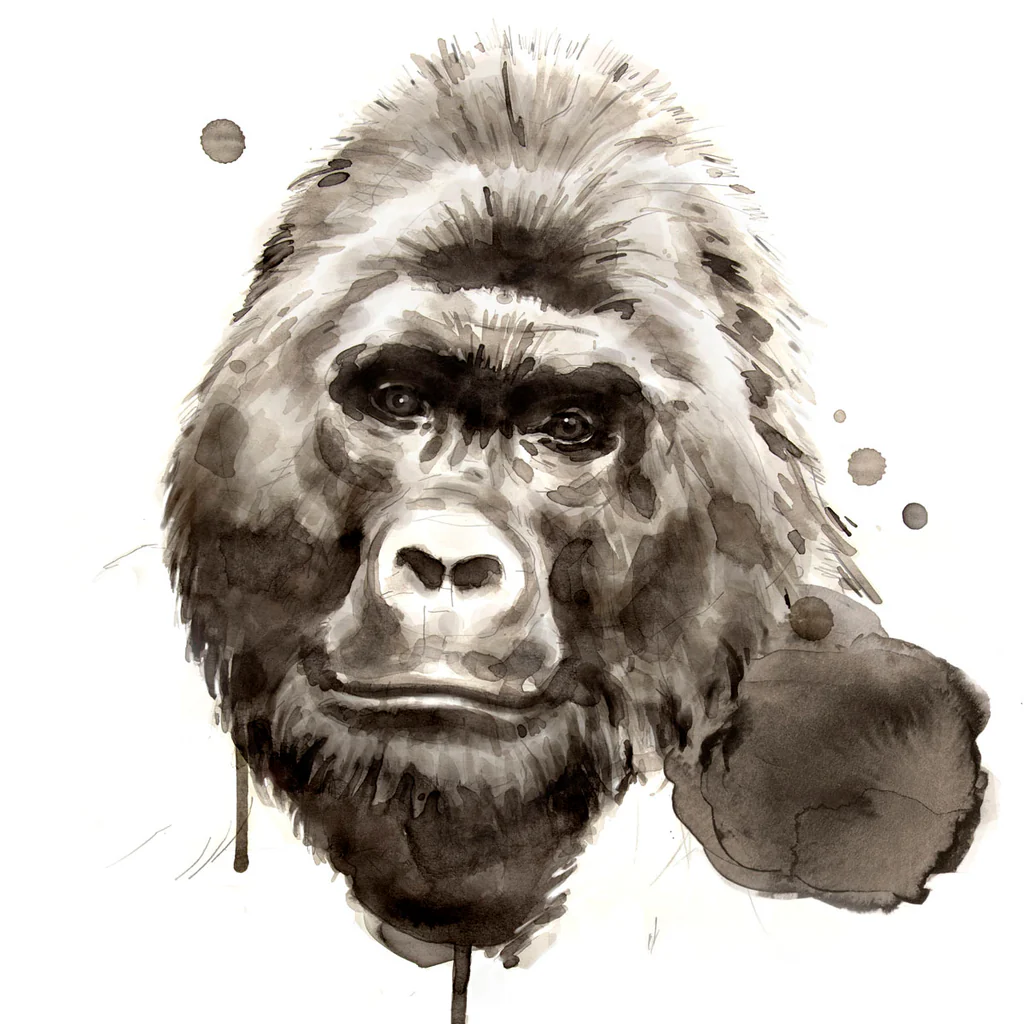 Gorilla - Poster Paper