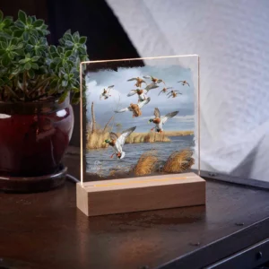 Greenhead Alert Mallards 6.37" x 6" Acrylic Nightlight - Official Ducks Unlimited Art