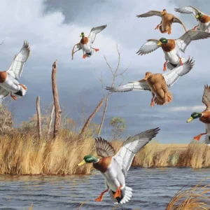 Greenhead Alert Mallards 12" x 30" Wood Sign - Official Ducks Unlimited Art