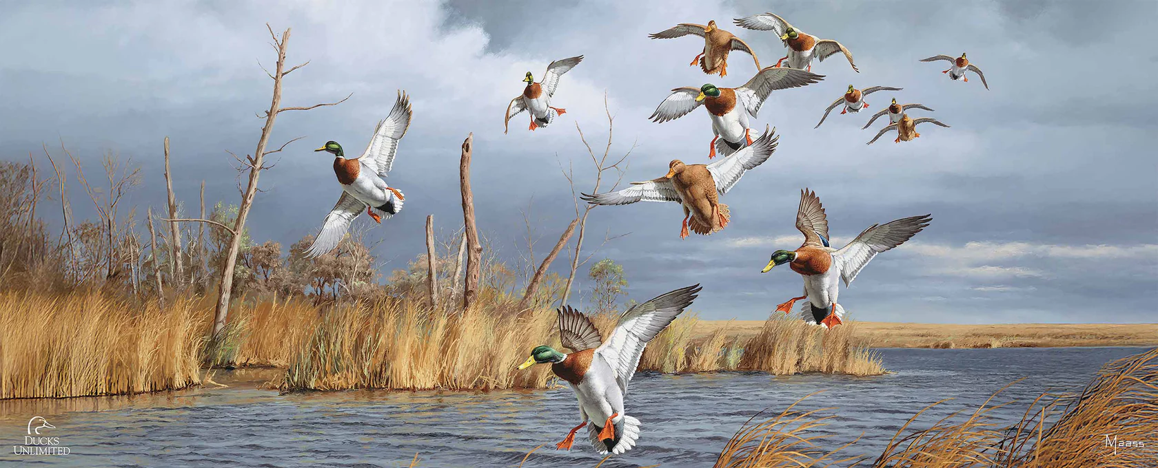 Greenhead Alert Mallards 12" x 30" Wood Sign - Official Ducks Unlimited Art