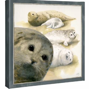 Harbor Seals at Sea Ranch - 14″ x 14″ Gallery Wrapped Canvas