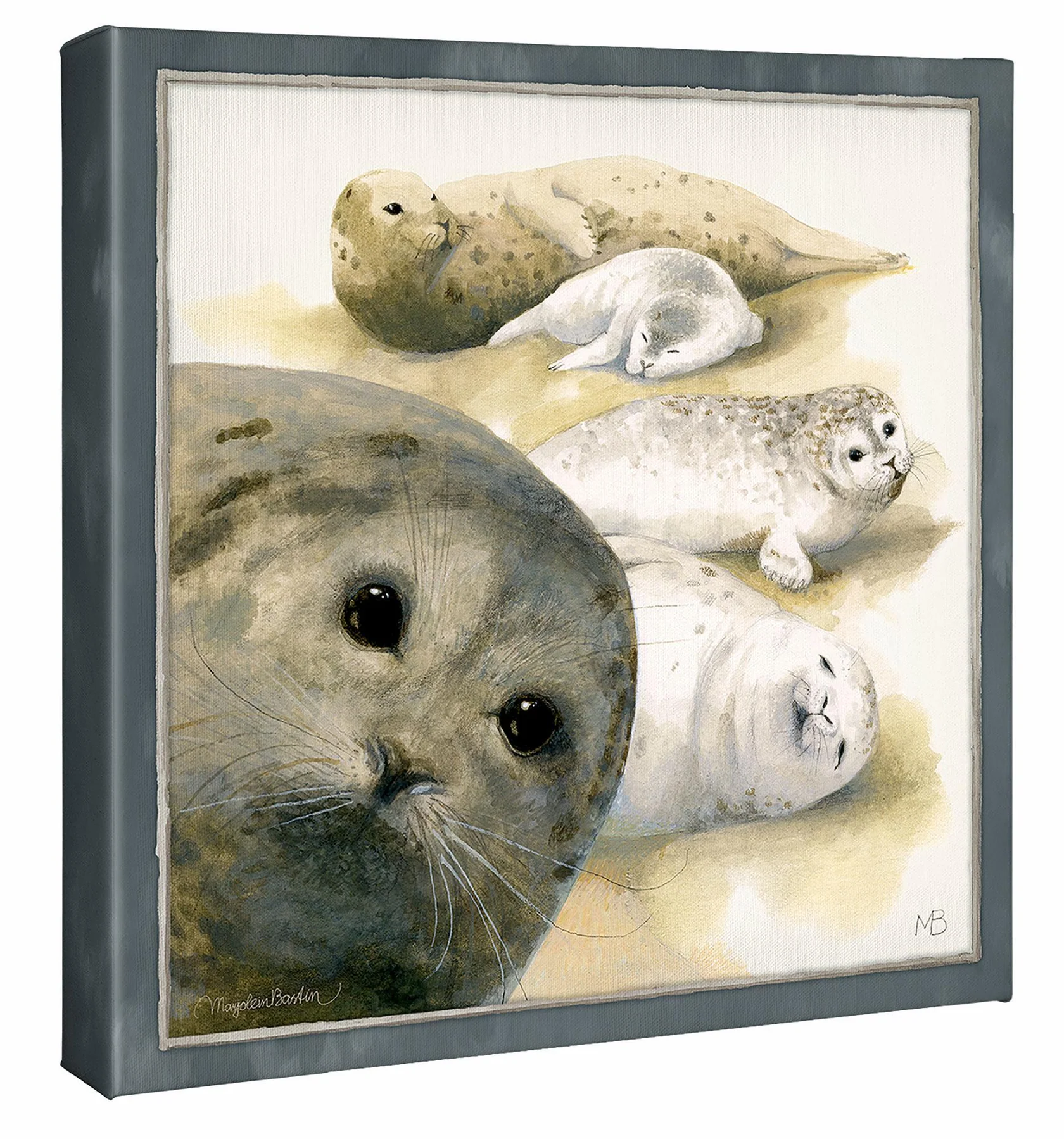 Harbor Seals at Sea Ranch - 14″ x 14″ Gallery Wrapped Canvas