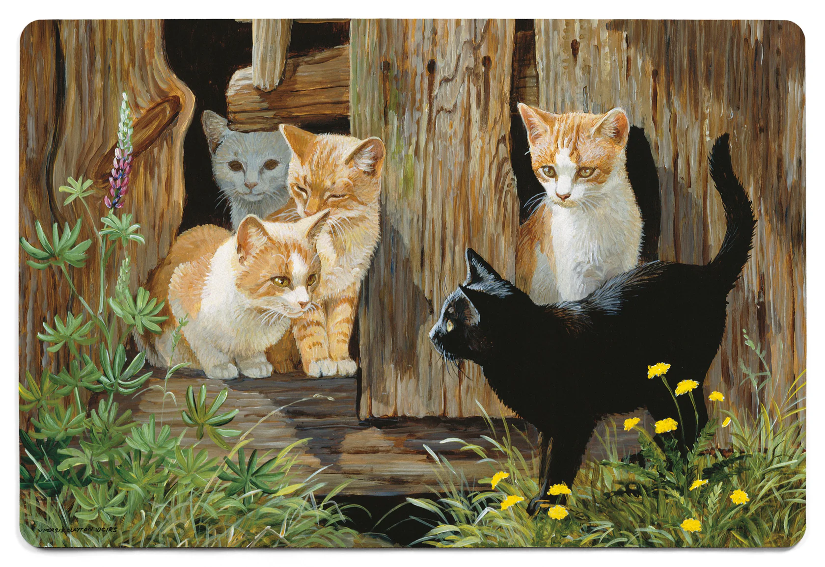 Hole in the Wall Gang - Kittens - 2' x 3' Floor Mat