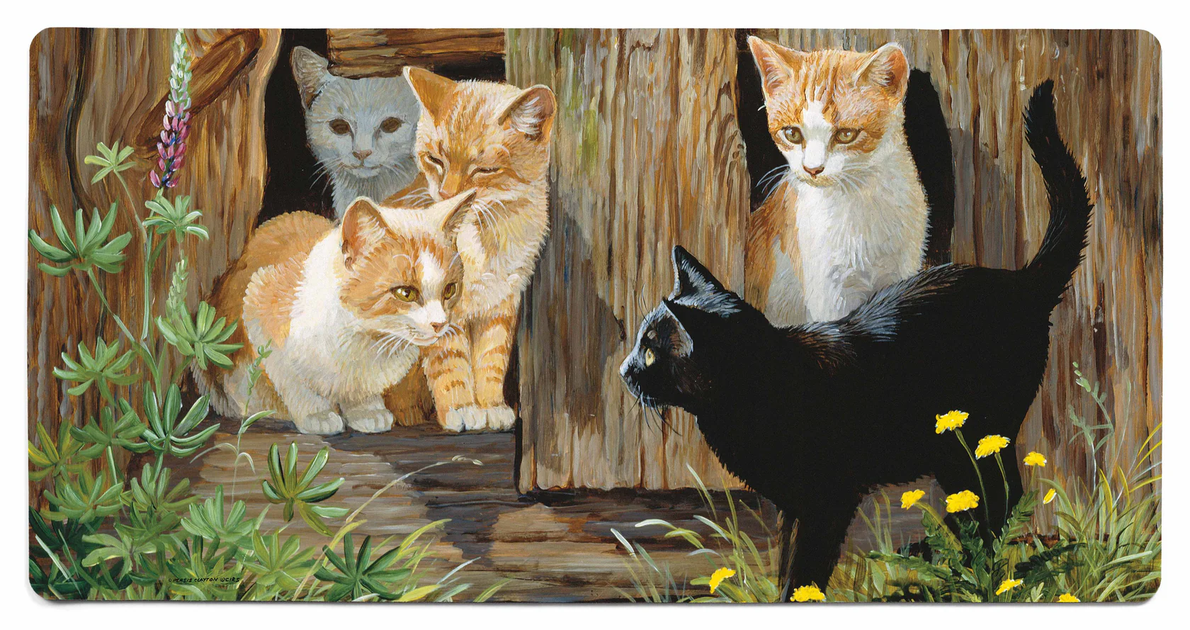 Hole in the Wall Gang - Kittens - 2′ x 4′ Floor Mat
