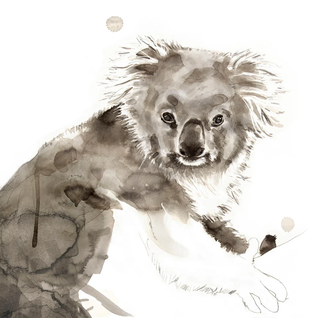 Koala - Unstretched Canvas