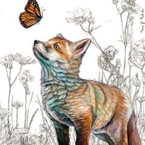 Little Wonders - Fox and Butterfly - Giclée Paper