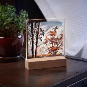 Misty Morning Green-Winged Teal Night Light – Official Ducks Unlimited Art