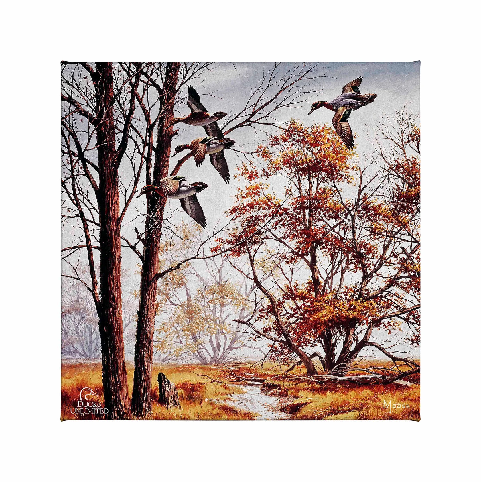 Misty Morning - Green-Winged Teal Gallery Wrapped Canvas - Official Ducks Unlimited Art