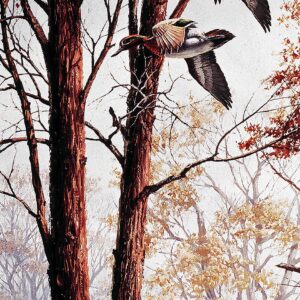 Misty Morning Green-Winged Teal 12" x 30" Wood Sign – Official Ducks Unlimited Wall Art