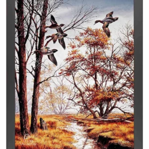 Misty Morning Green-Winged Teal Art Print – Official Ducks Unlimited Art