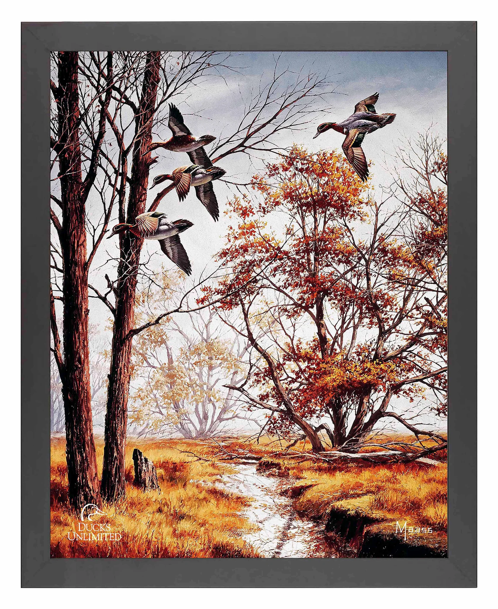 Misty Morning Green-Winged Teal Art Print – Official Ducks Unlimited Art