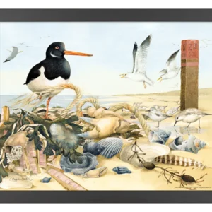 On the Beach - Seabirds - 11″ x 14″ Art Print
