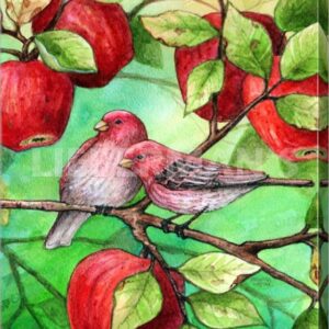 Red Finches with Apples - Gallery Wrapped Canvas