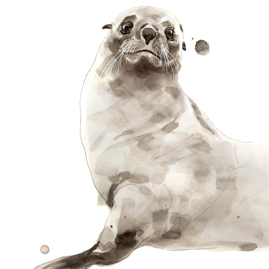 Seal - Unstretched Canvas