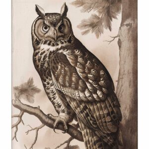 Silent Guardian - Great Horned Owl - Gallery Wrapped Canvas