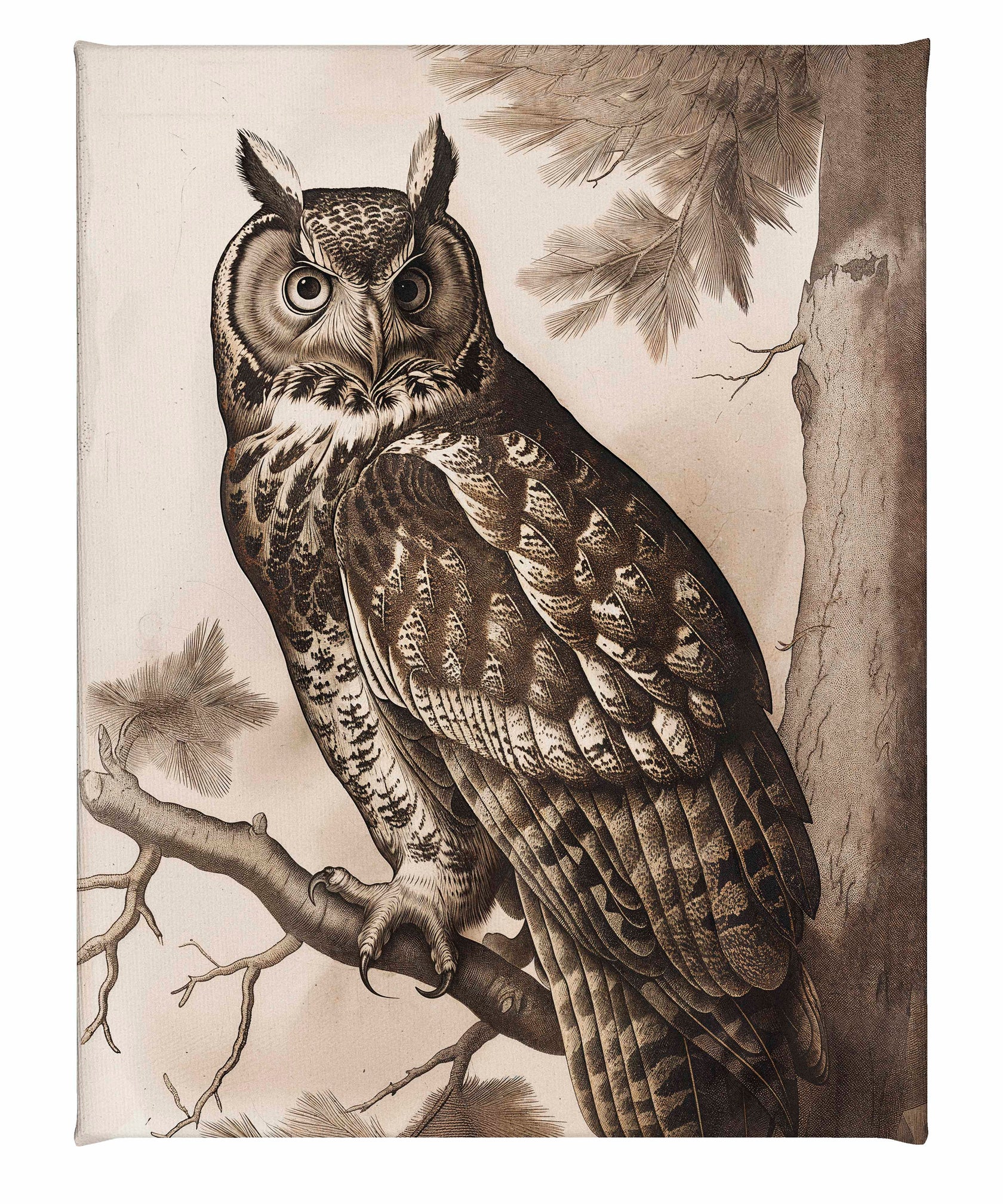 Silent Guardian - Great Horned Owl - Gallery Wrapped Canvas
